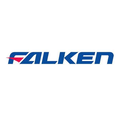 Logo FALKEN